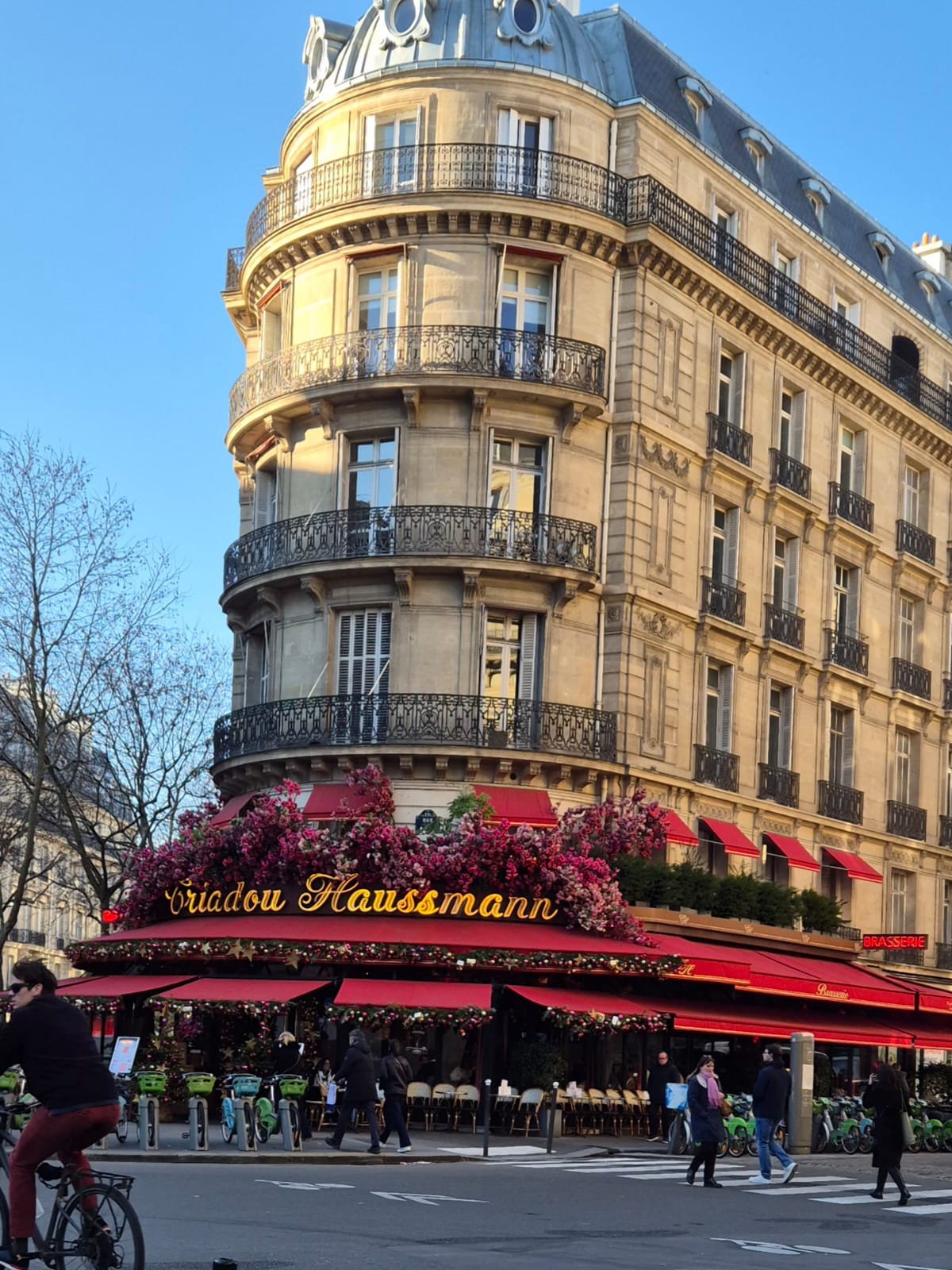 WhatsApp Image 2025-07-11 at 12.27.37