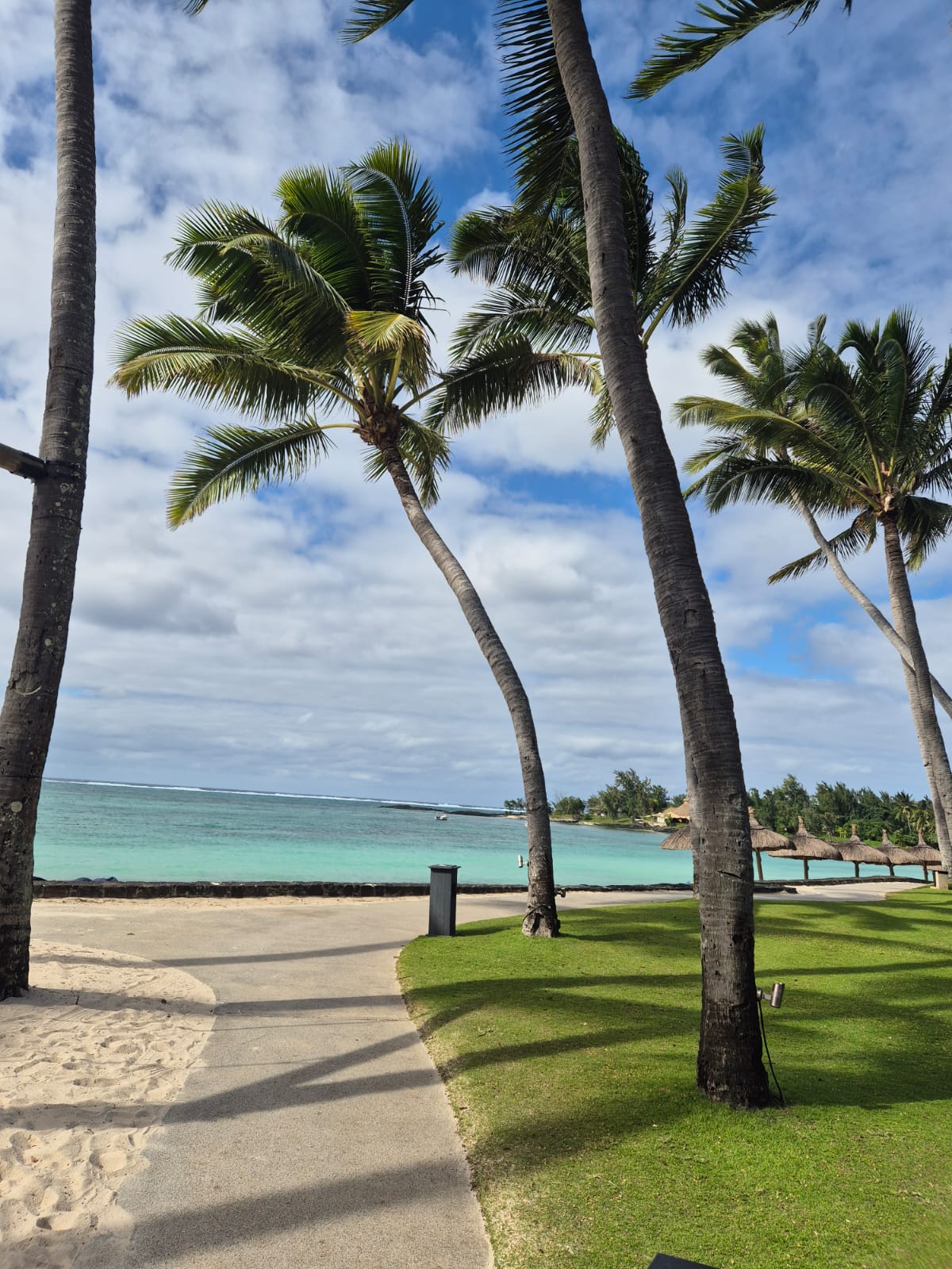 WhatsApp Image 2025-07-11 at 12.31.41