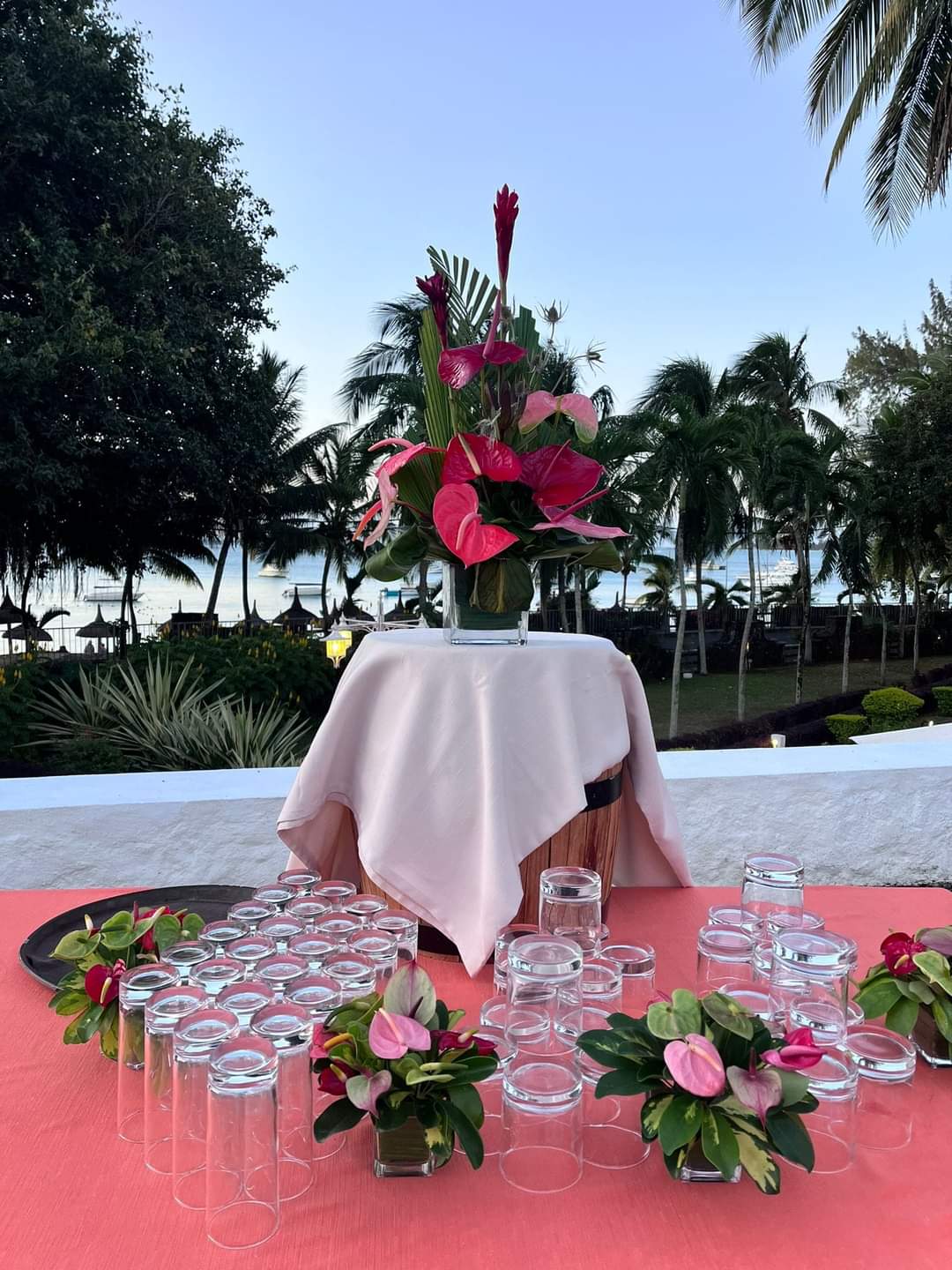 WhatsApp Image 2025-07-12 at 17.31.09