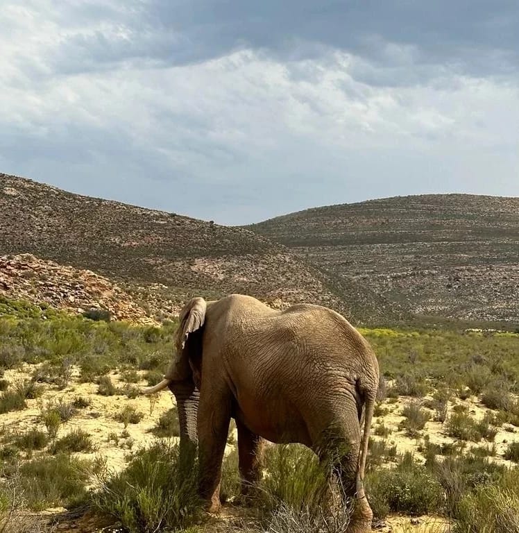 WhatsApp Image 2025-07-12 at 17.34.00