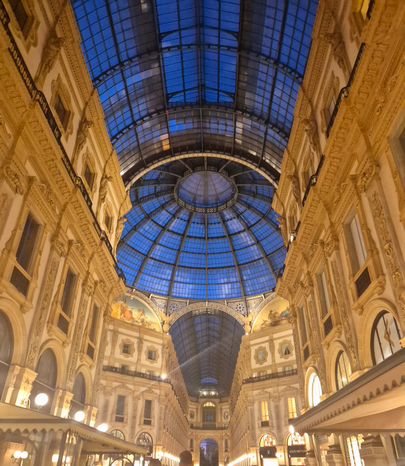 WhatsApp Image 2025-07-12 at 17.37.52