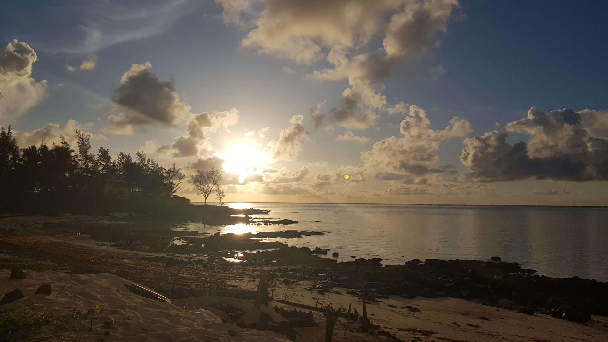 WhatsApp Image 2025-07-12 at 17.41.01