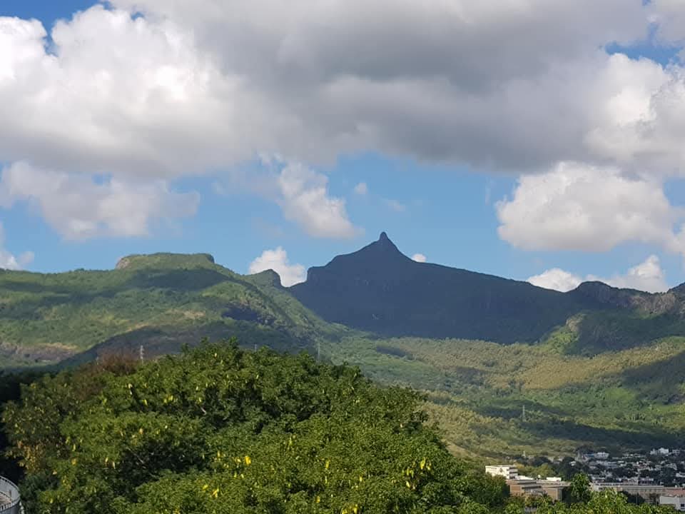 WhatsApp Image 2025-07-16 at 08.25.54 (1)