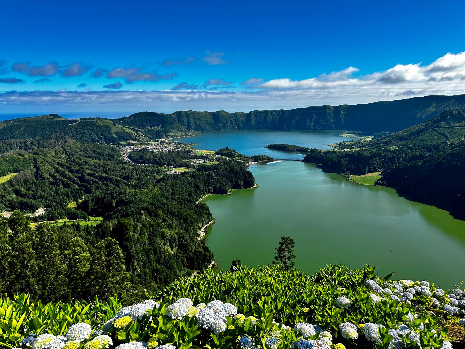 WhatsApp Image 2025-10-08 at 11.01.34_df91ca81