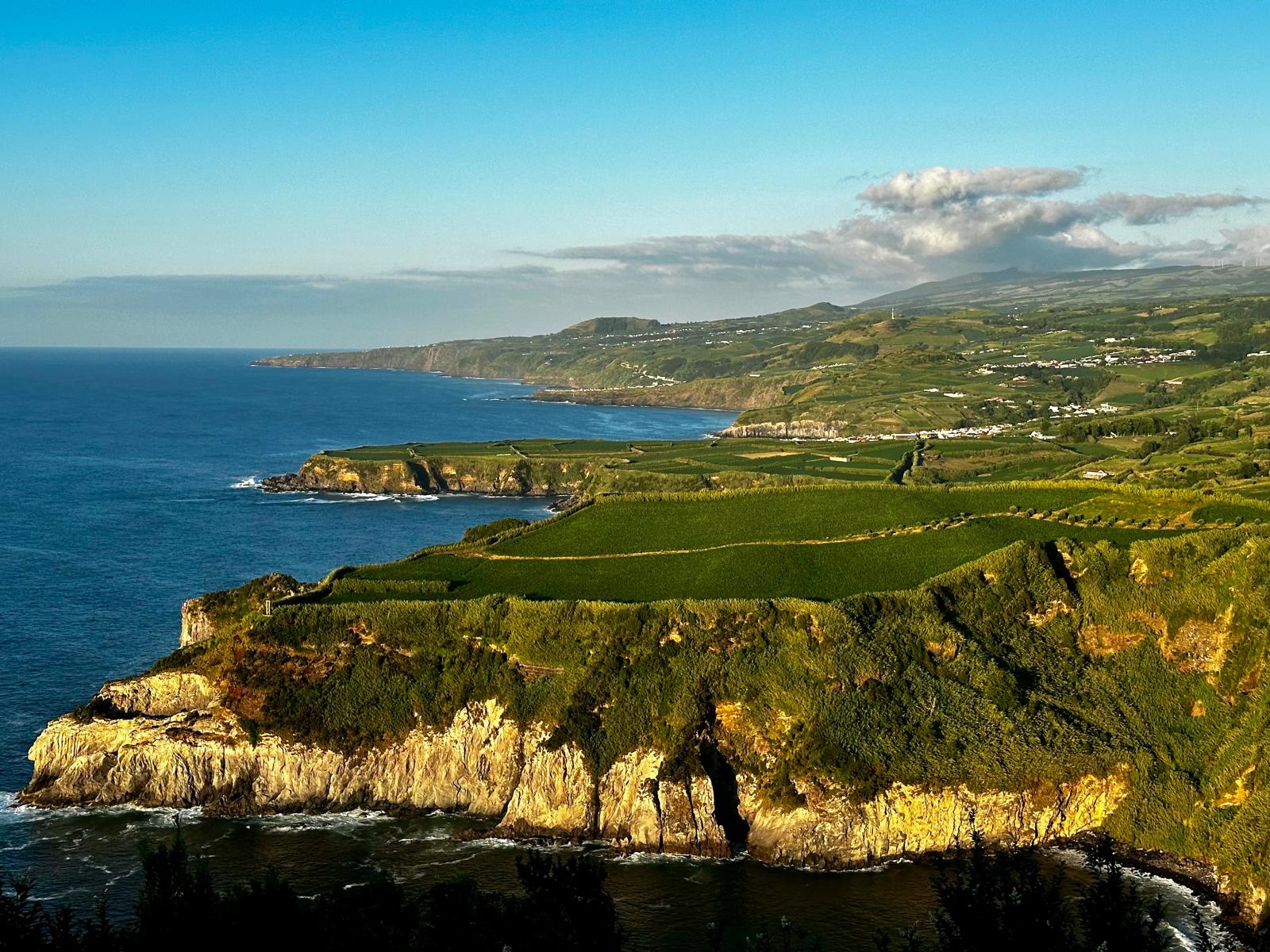 WhatsApp Image 2025-10-08 at 11.01.35_d3a47d97